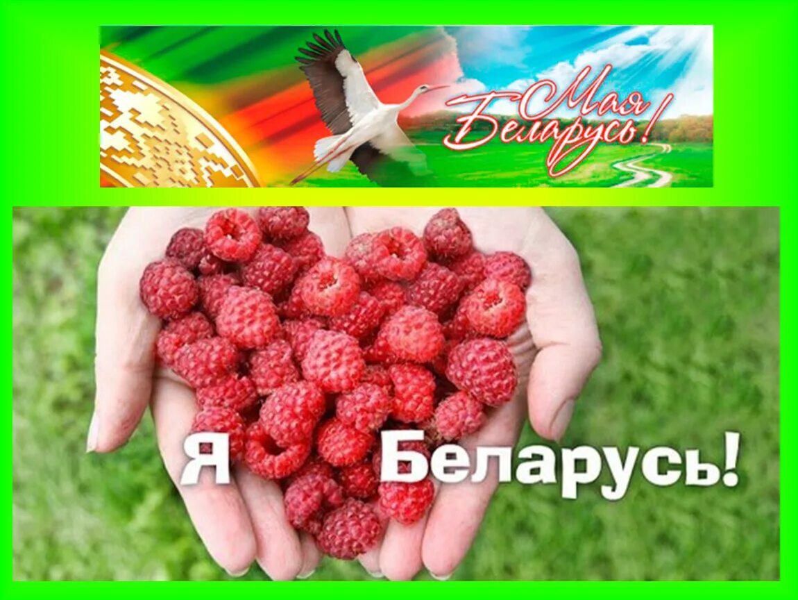 Почему я люблю беларусь на английском. Я люблю беларусь. реклама я люблю беларусь. я люблю беларусь картинки. сердце я люблю беларусь.