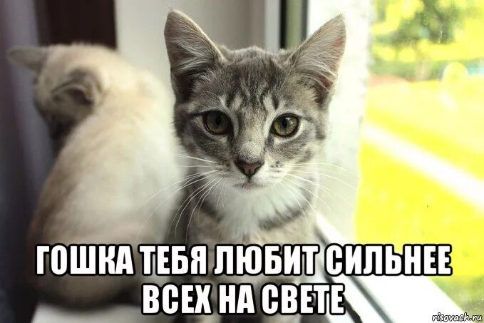 Не любит быть на виду