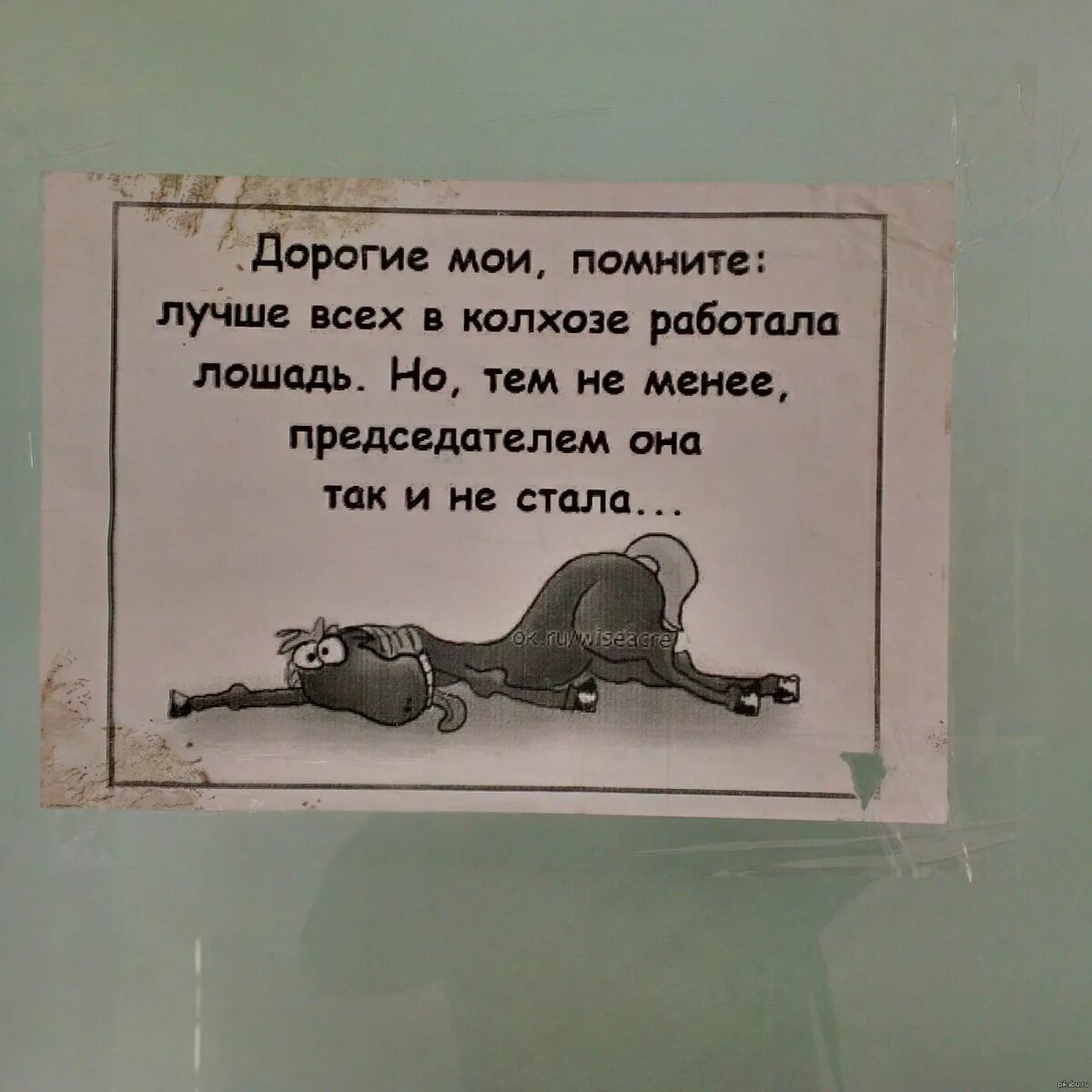 Хочу работать лошадь