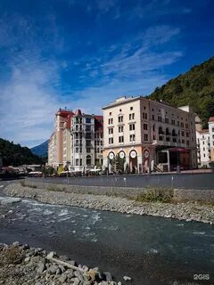 Golden tulip rosa khutor