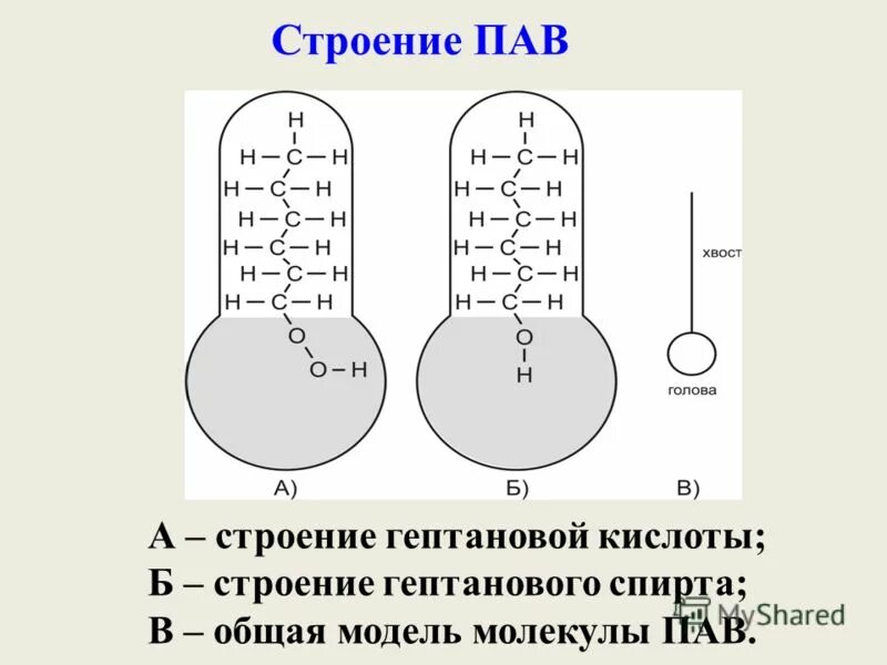 Структура молекулы пав. Поверхностно-инактивные вещества. Каково строение молекулы пав?. Пав особенности строения молекулы. Поверхностно-активные вещества строение.