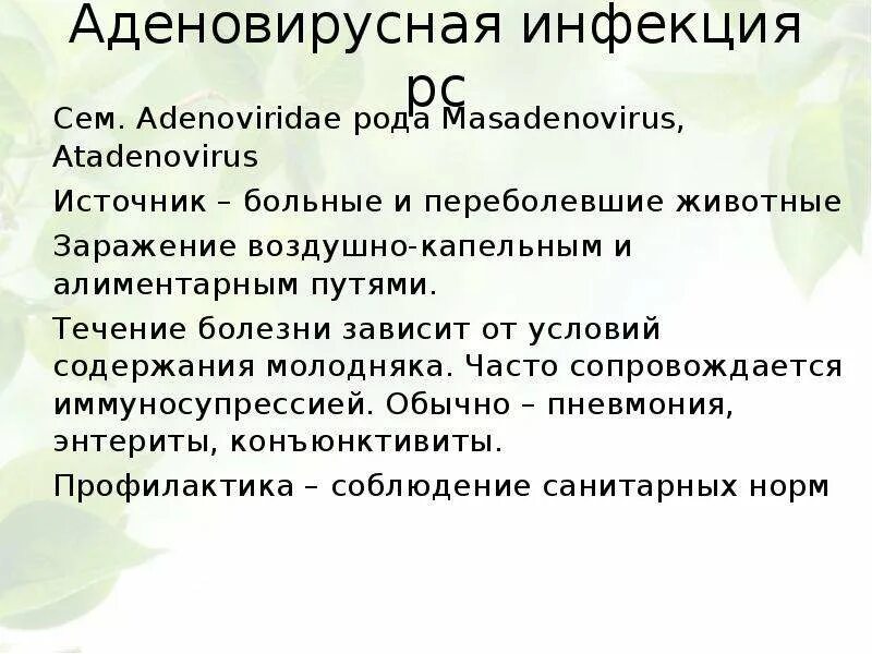 Аденовирусная инфекция симптомы у взрослых и лечение. Аденовирусная инфекция. Аденовирусная инфекция симптомы. Аденовирусная инфекция у детей клиника. Профилактика аденовирусной инфекции у детей.