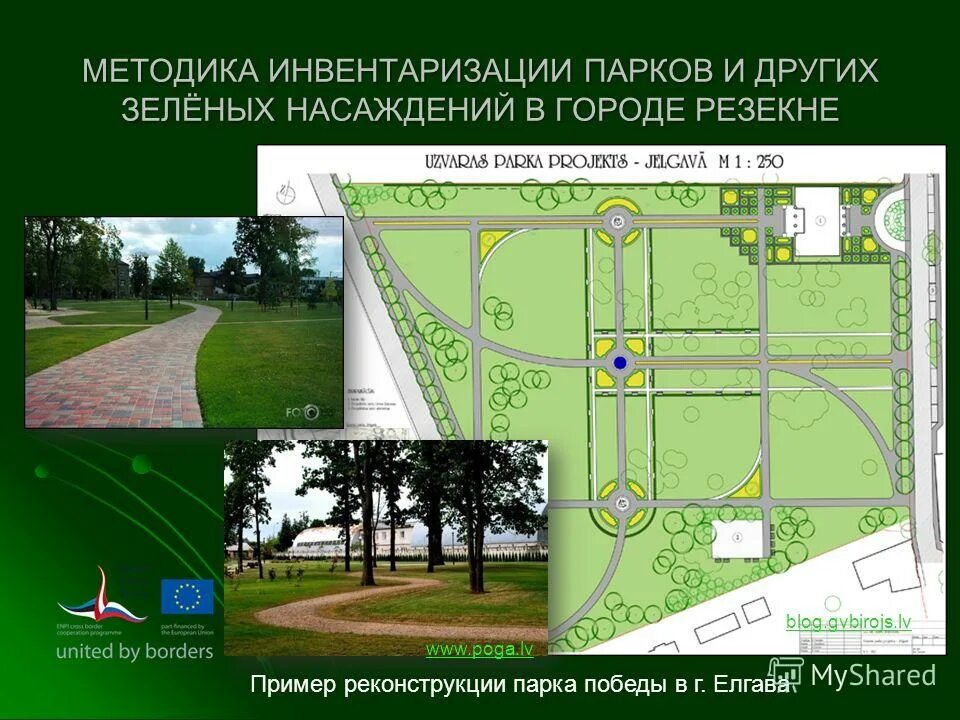 Методика зеленых насаждений. Инвентаризация деревьев. Главные функции зеленых насаждений. План инвентаризации зеленых насаждений. Методика зеленых насаждений.