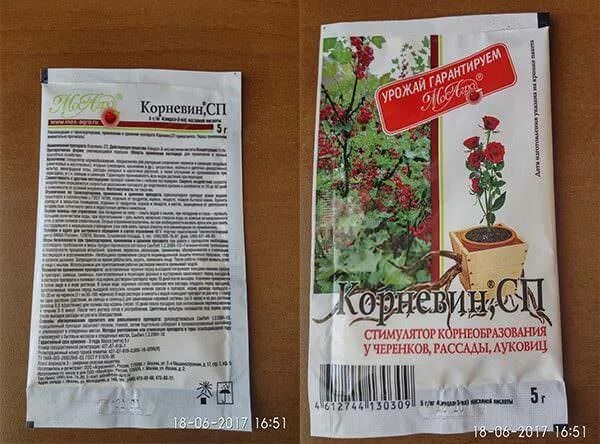 Как развести корневин для рассады томатов. Корневин СП 5г. Корневин для рассады СП. Регулятор роста корневин. Корневин для помидор.