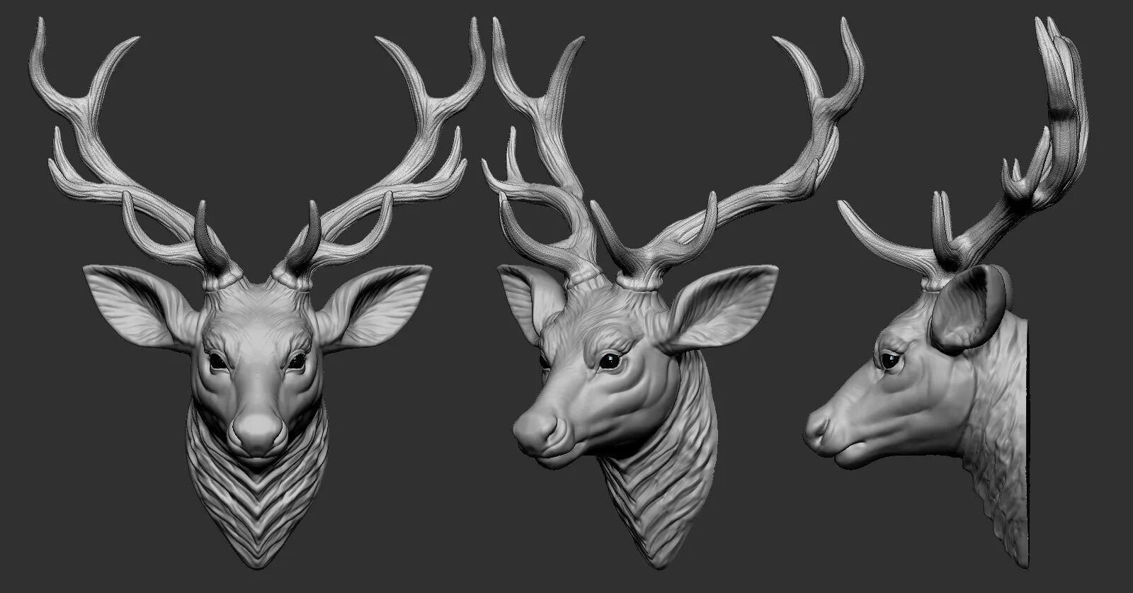 Deer studio