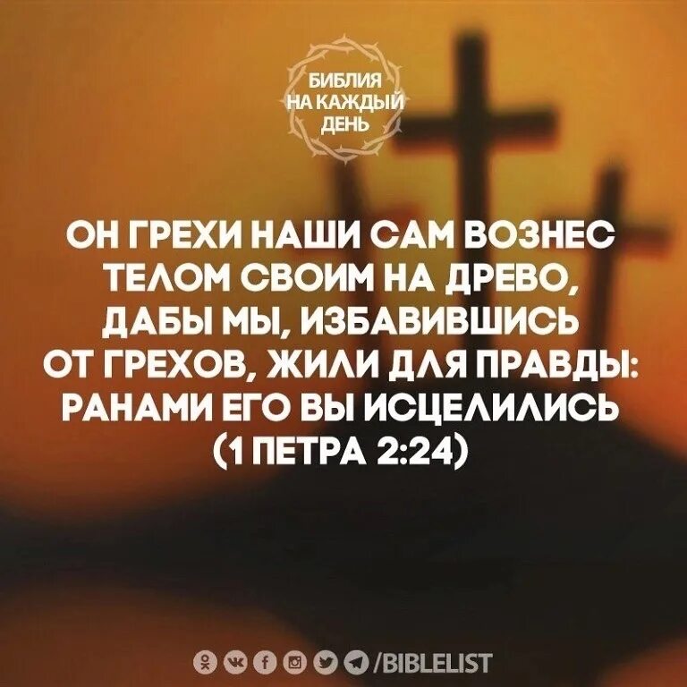 Безгрешно жить. Библия цитаты. Вознес грехи наши сам телом своим на Древо. Цитаты про грехи. Стихи из Библии о жертве.