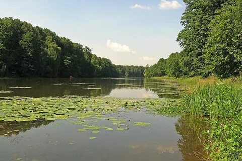 12 водоемов