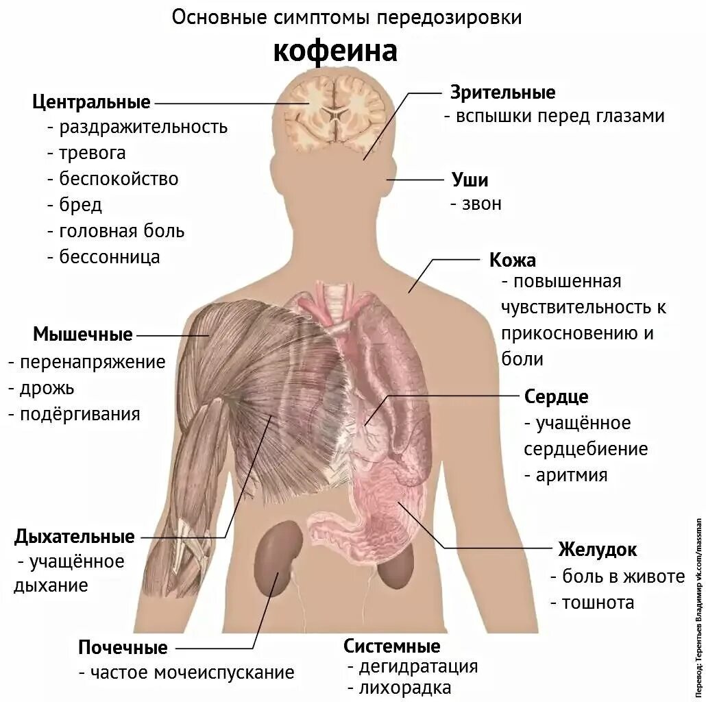 Симптомы различных болезней. Передозировка кофеином симптомы. отравление кофеином симптомы. влияние кофеина на организм. воздействие кофеина на организм человека.
