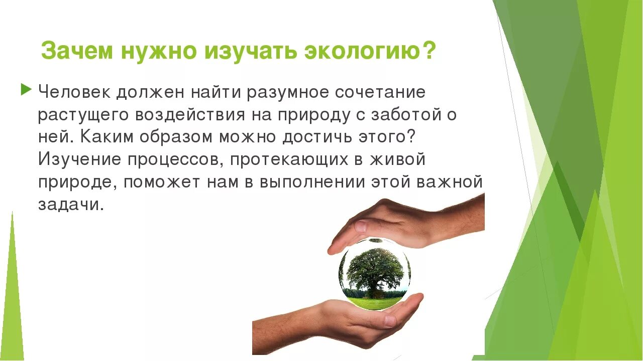 Какова роль экологии в настоящее. Зачем нужна экология. Зачем нужно изучать экологию. Экология человека. Экология презентация.