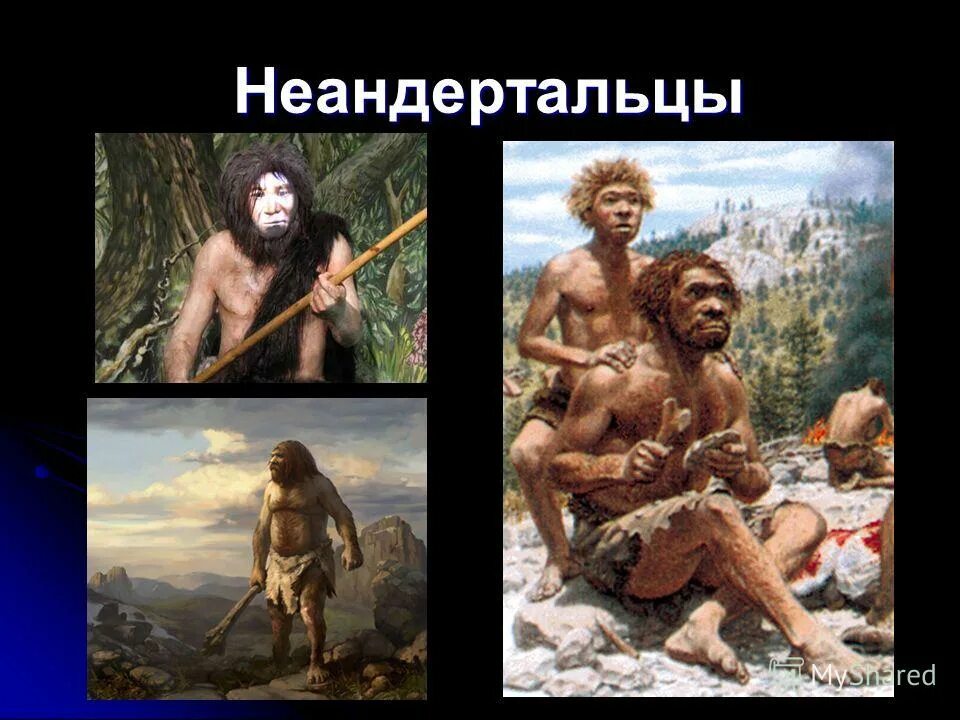 неандертальцы и кроманьонцы отличия