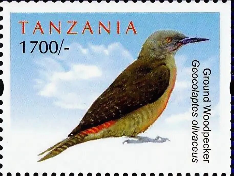 12 birds. Танзания птицы марки. Марки дятлы. Geocolaptes olivaceus.