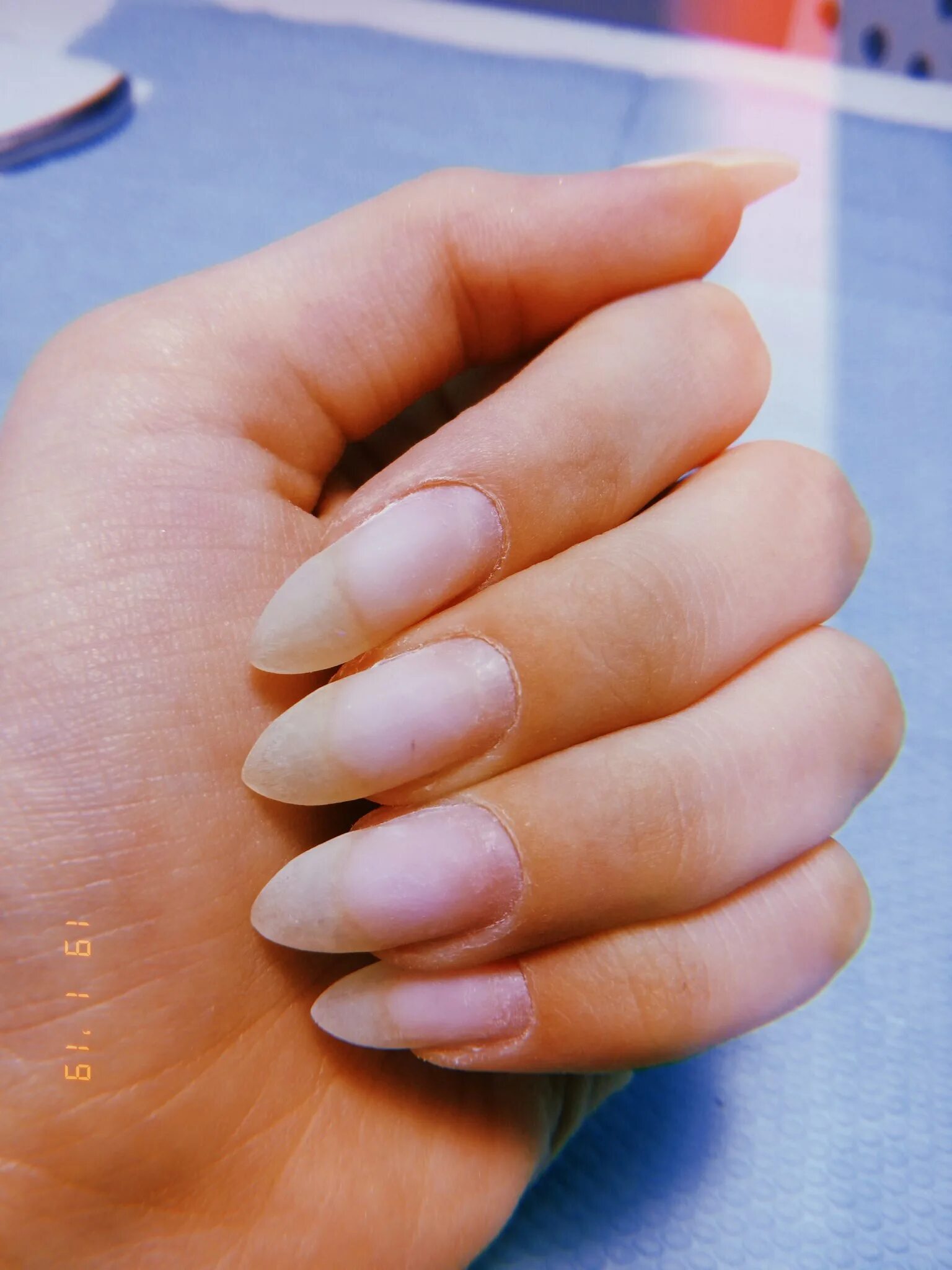 Натуральные ногти без лака. Просто ногти без лака. Просто ногти без лака. Маникюр без покрытия. Просто ногти без лака.