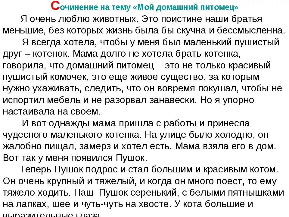 Сочинение описание про кошку. Сочинение мой питомец. Мой любимый домашний питомец сочинение. Сочинение моё любимое животное. Сочинение моё любимое домашнее животное.