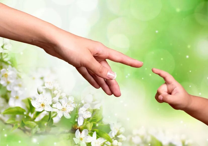 Малыш протянул руки навстречу маме впр. Обои рука тянется к руке. Картинка руки детей протягивают цветы. Ребёнок протягивает цветочек. Hand and Spring Flower.