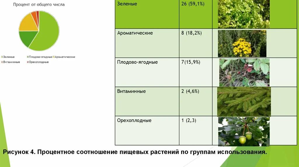 Соотнесите группы растений. Разные возрастные группы растений. Возраст сообщества растений. Какая возрастная группа растений. Перец группа растений