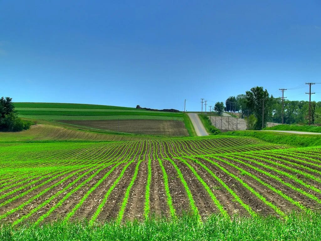 Пахотные поля Белоруссия. Сельхоз поля. Сельскохозяйственный ландшафт. Поле весной. L field