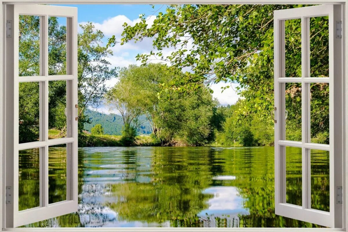 Вновь открытое окно. Окно в природу. Фотообои окно. Природа за окном. Окно с видом на природу.