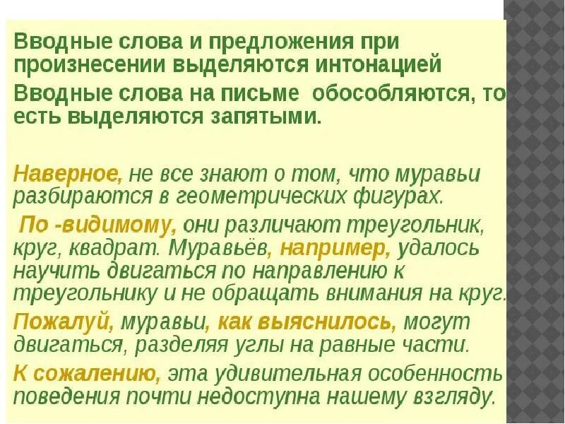 Наверное может быть вводным словом. Вводные слова. Вводные предложения. Вводные слова и вводные словосочетания. Предложение с вводным словом видимо.