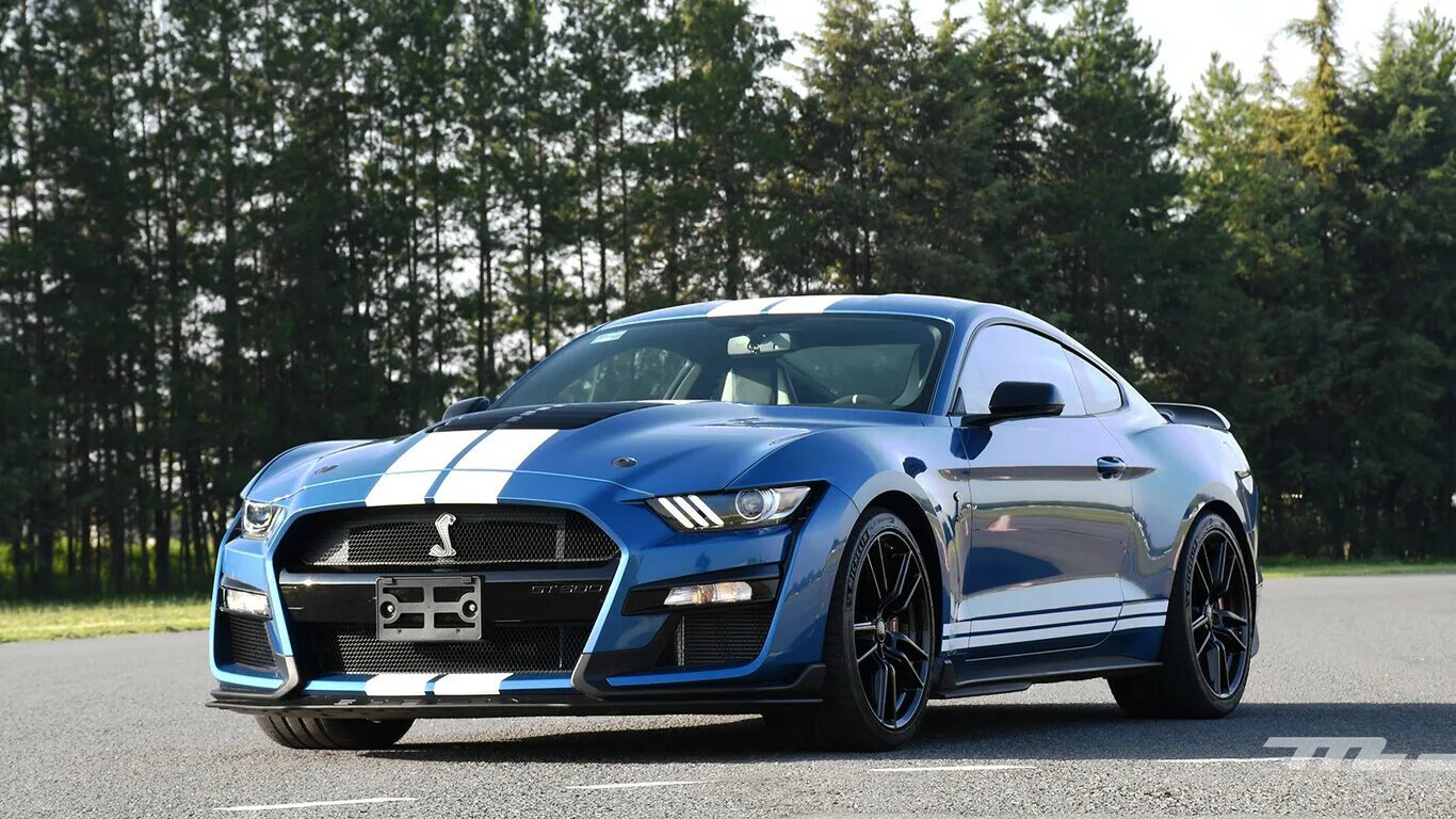 Мустанг шумилова. Форд Мустанг Шелби gt 500. Ford Mustang Shelby gt500 2023. Ford Mustang Shelby 2021. Форд Мустанг Шелби gt 500 2021.