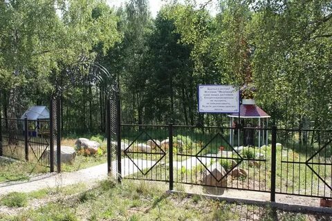Погода в старом синдрове на 10