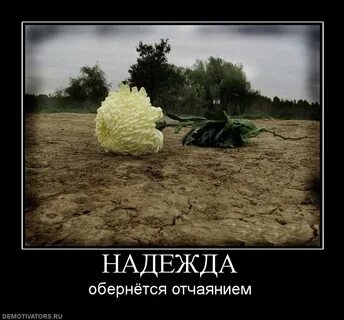 Очень буду на это надеяться