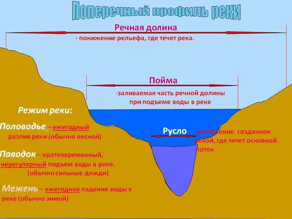 Глубина вопроса. Русло Пойма Речная Долина. Русло реки Пойма Речная Долина. Поперечный профиль Долины реки. Русло Пойма терраса Речная Долина.