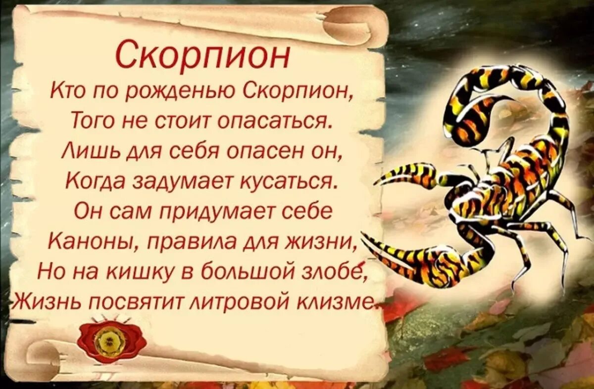 Скорпион шуточный гороскоп. Стихи про скорпиона женщину. Поздравления с днём рождения скорпиону. Знак зодиака Скорпион. Гороскоп добрый день