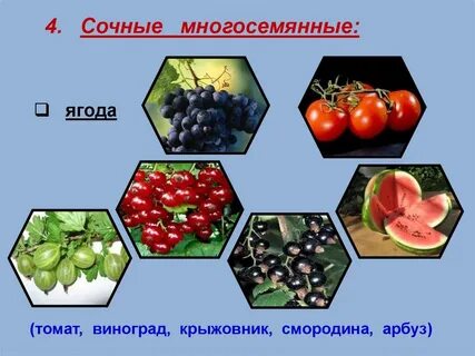 Приспособление ягоды