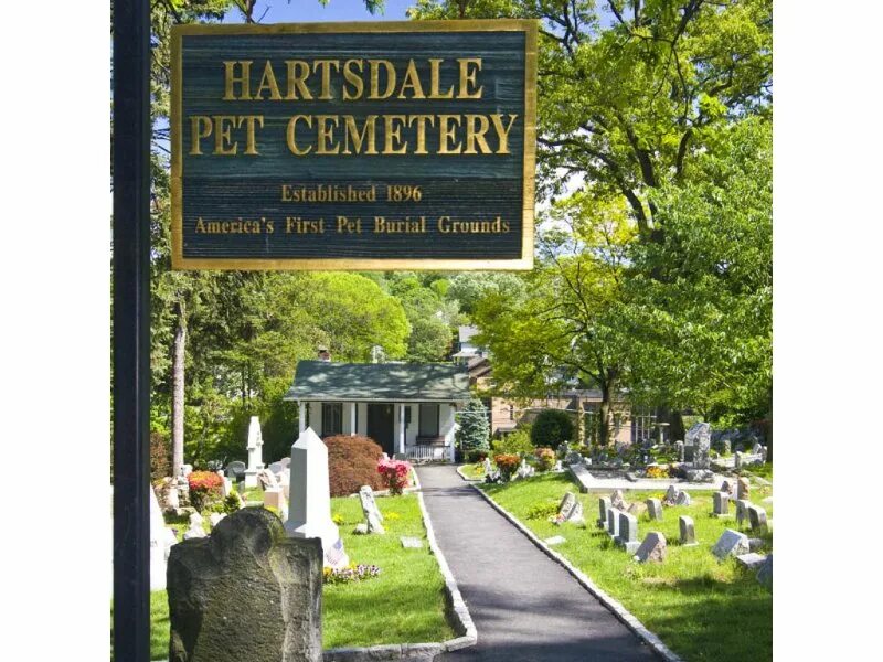 Pet cemetery. Hyde Park Pet Cemetery гайд-парк. Hartsdale Pet Cemetery. Гайд парк кладбище домашних животных. Могилы животных.