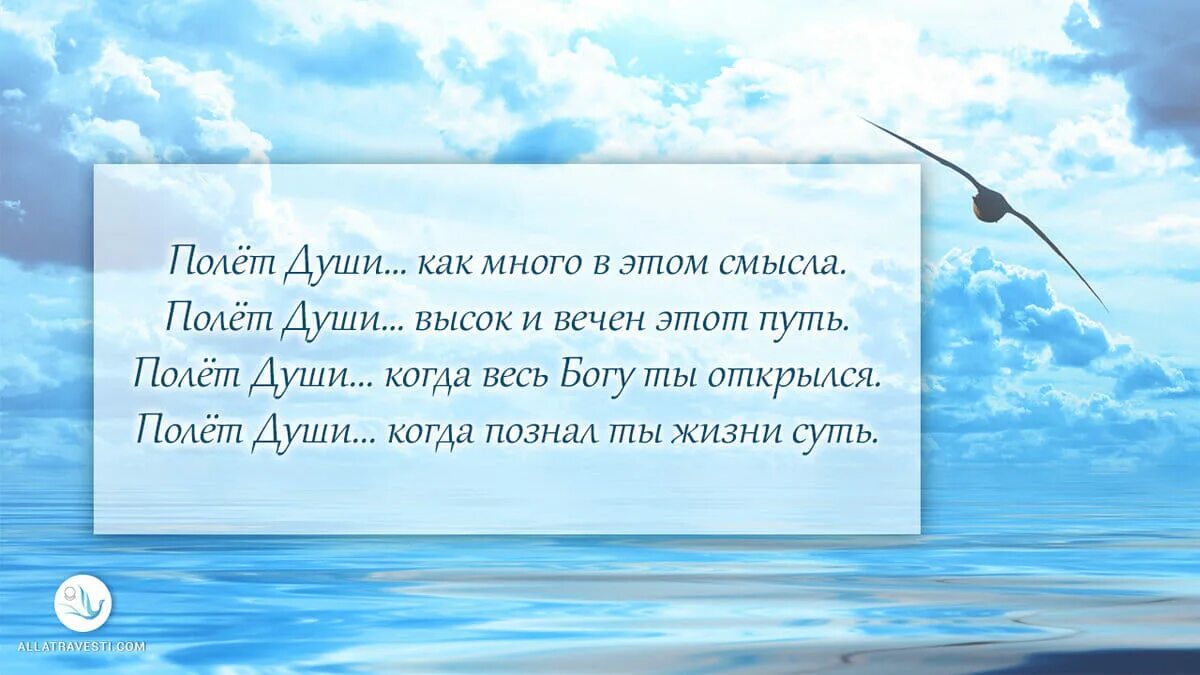 Живу как душа желает. Высказывания о полете. Высказывания про полет. Высказывания про полёт души. Фразы о полете.