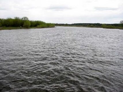 Уровень реки сож в славгороде