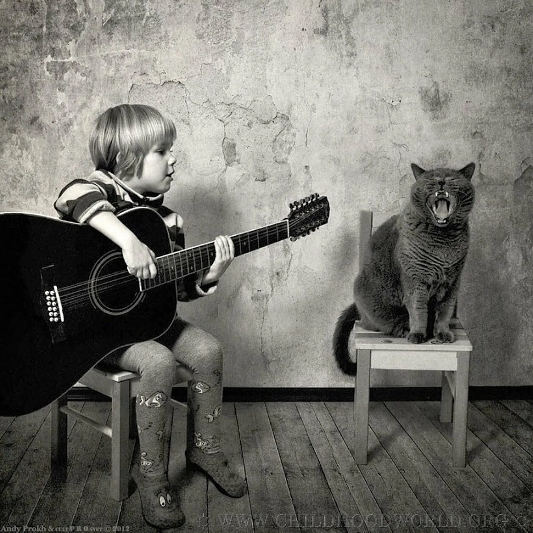 Исполняют веселые песни. Andy Prokh. Andy Prokh фотограф. Котик с гитарой. Кот с электрогитарой.