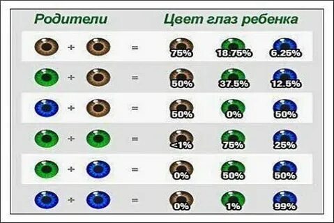 Доминирующие цвета глаз и волос