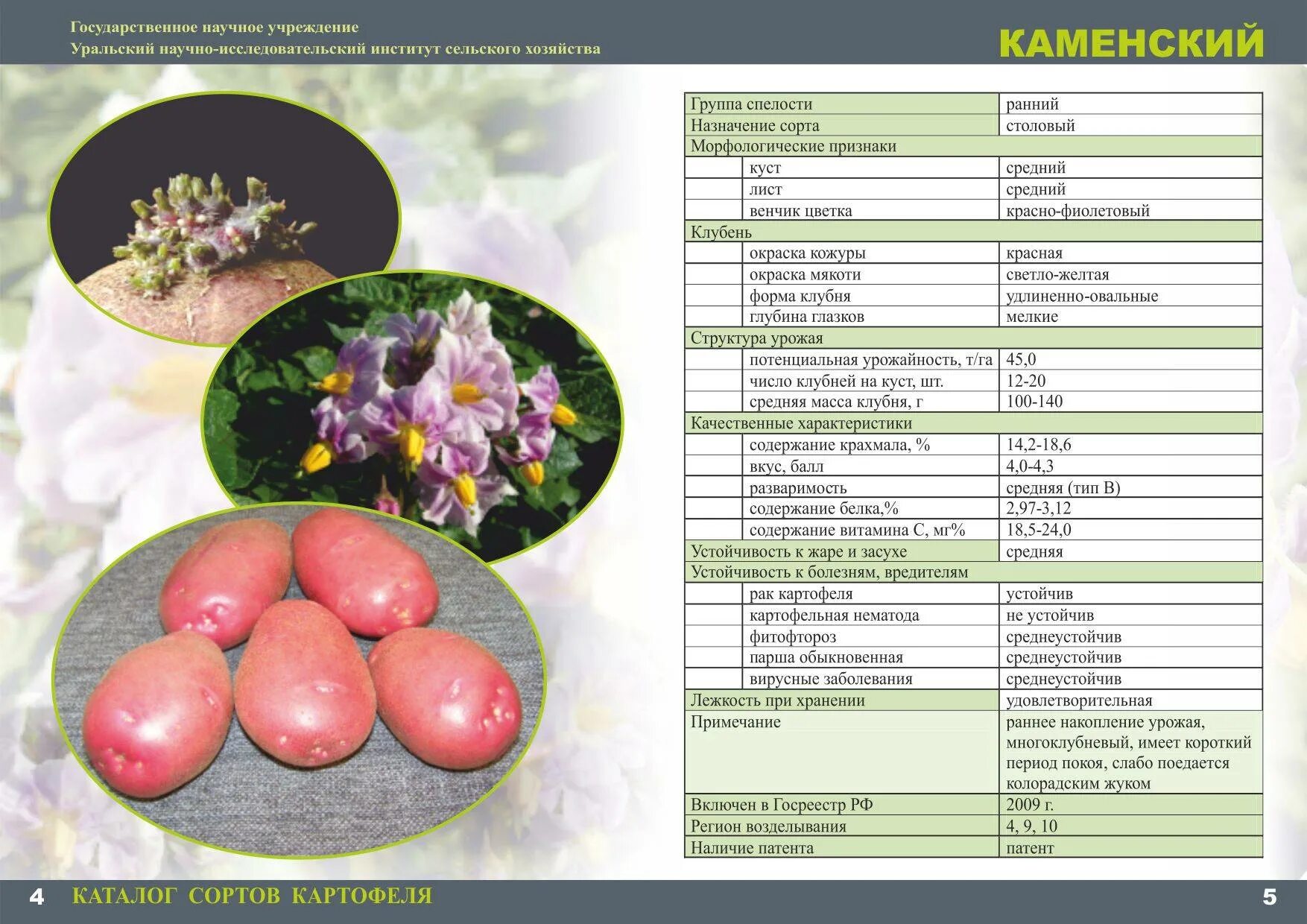 Картофель первоцвет. Картофель 1 сорта характеристика. Картофель Алуэт характеристика сорта. Сорта картофеля таблица. Характеристика различных сортов картофеля.