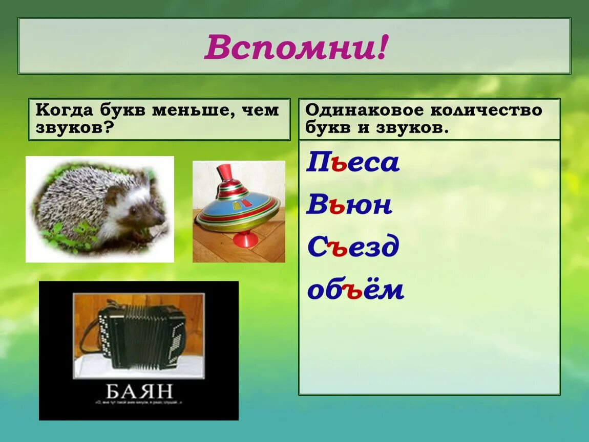 Одинаковые звуки обозначенные разными буквами. Одинаковое количество букв и звуков. Звуков меньше чем букв. Слова с одинаковыми звуками. Слово где количество букв и звуков одинаковое количество.