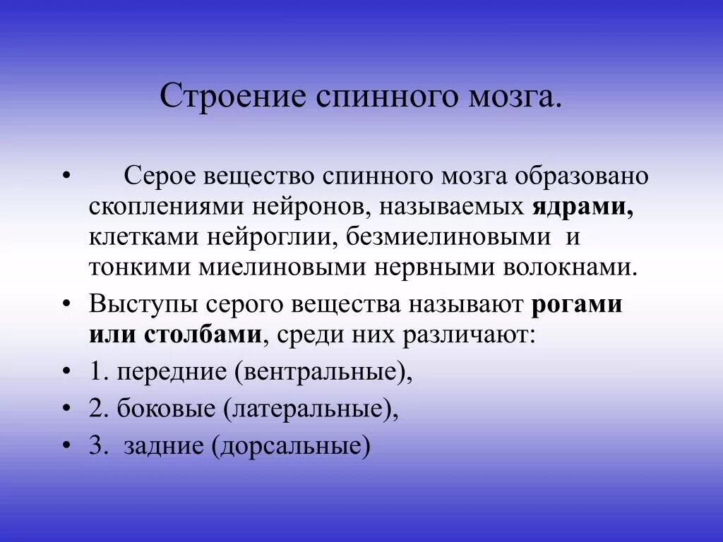 Аксон образует серое вещество. Серое вещество мозга образовано. Серое вещество спинного мозга образовано скоплением. Сое вещество мозга образованной. Серое вещество мозга образовано скоплением чего.