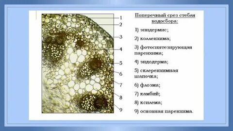 Под срез