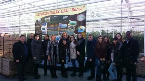 Телефоны оао