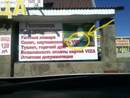 Хамелеон владикавказ