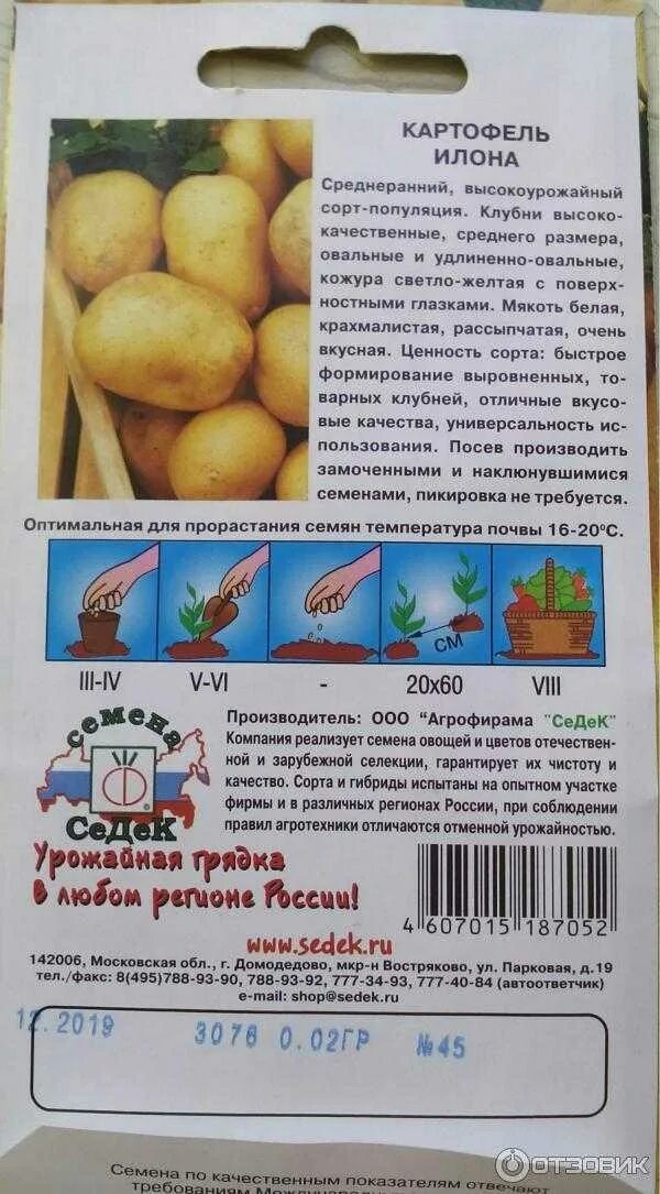 Вкусовые качества сорт коломбо