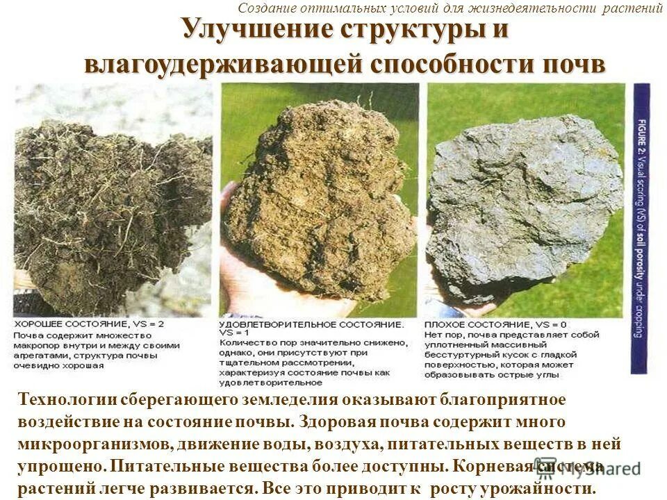 Улучшение состава почвы. Улучшение состава почвы. Гумусированная супесь. Горсть земли. Сыпучие удобрения.