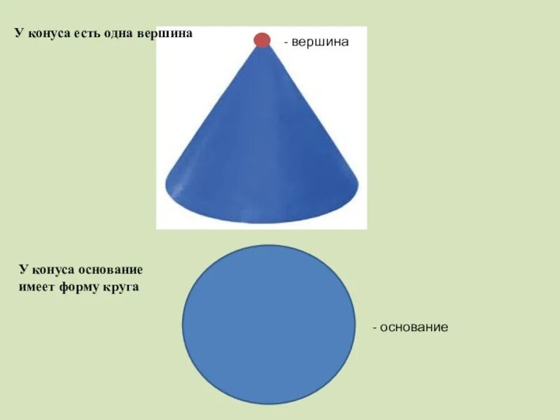 Круг ест круга. Объемные фигуры конус. Вершина конуса. Конус для детей средней группы. Фигуры в форме конуса.