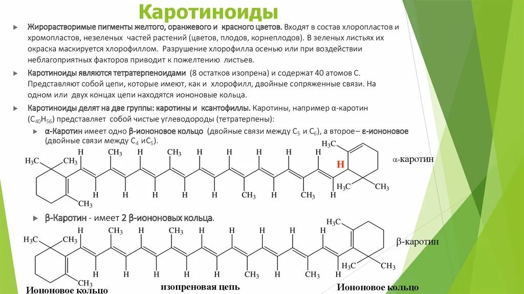 Пигмент каротиноиды. Хлорофилл каротиноиды и антоцианы. Каротиноиды химическая формула. Каротиноиды структурная формула. Структурная формула каротиноидов.