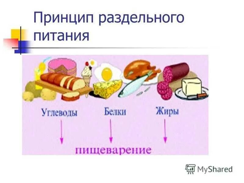 Как питаться раздельным питанием