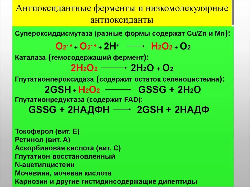 Антиоксидантные ферменты