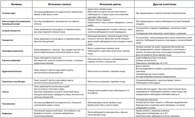 Что дать при поносе. Что дать котенку при рвоте. чем кормить кошку при поносе. чем можно кормить котов при поносе. что дать котенку при поносе.