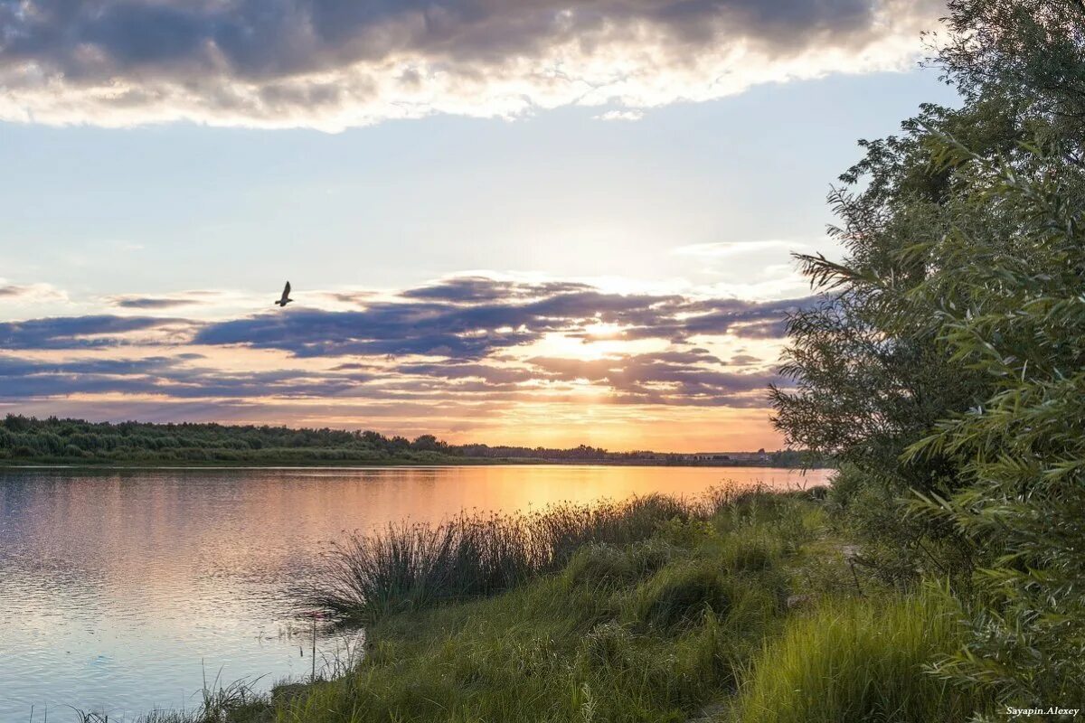 Омск осень иртыш. Природа калачинска омской области. Омская обл фото. Река тарбуга омская. Река иртыш.