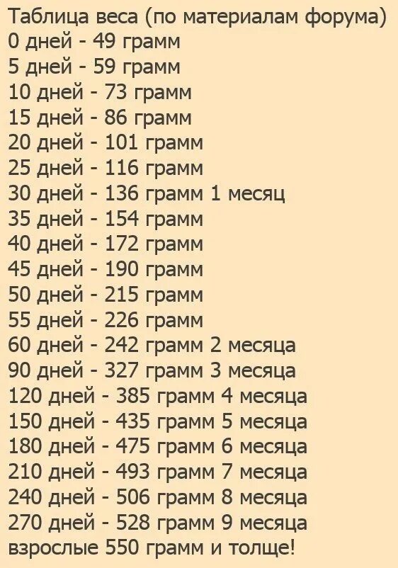 65 месяцев сколько. Вес шиншиллы по возрасту таблица. Вес взрослой шиншиллы таблица. Вес шиншиллы по месяцам. Вес шиншиллы по месяцам таблица.