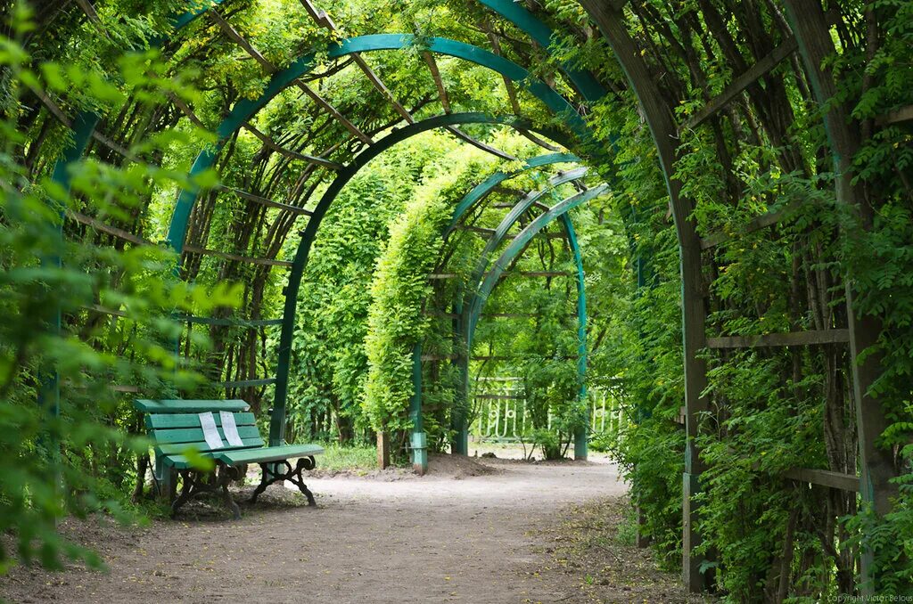 Парк мест. Амфитеатр останкинский парк москва. Нескучный парк в москве сокольники. Сокольнический парк москва. Самые красивые парки подмосковья.