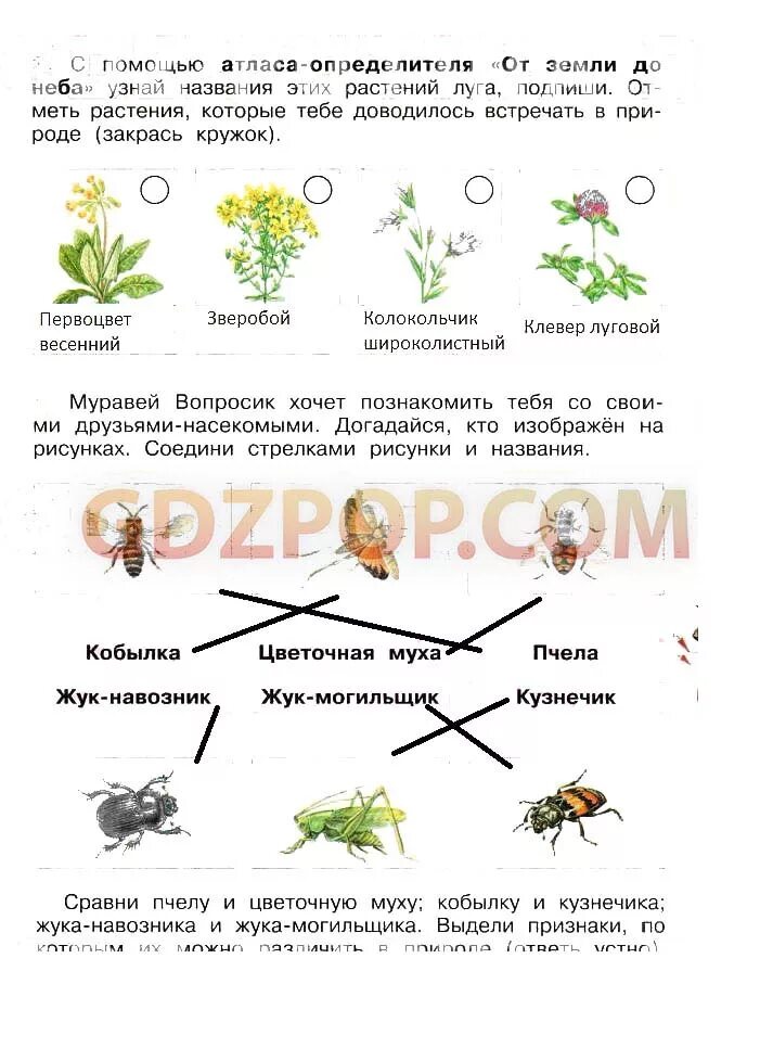 Решебник по окружающему миру 4